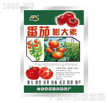 ��(r��n)��-���������