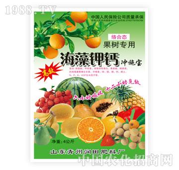 ����-������}�����䌣�ã�