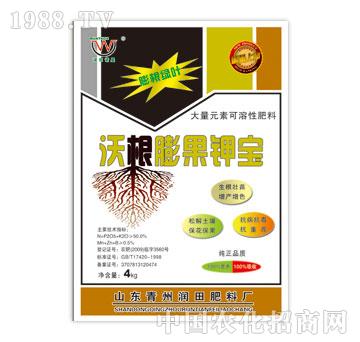 ��(r��n)��-�ָ����⛌�