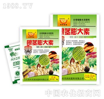 ��(r��n)��-���o�����A+B