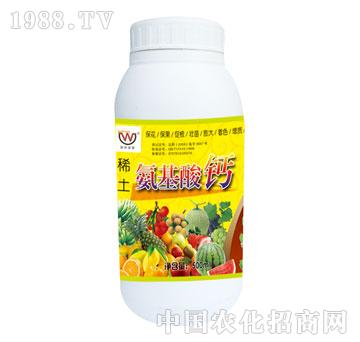 ����-ϡ���������}