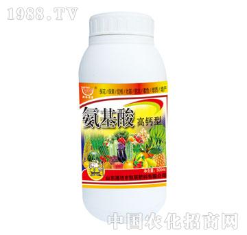 ����-��������}��