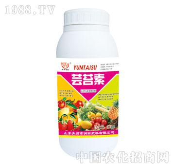 ����-�|̦�أ�ƿ��