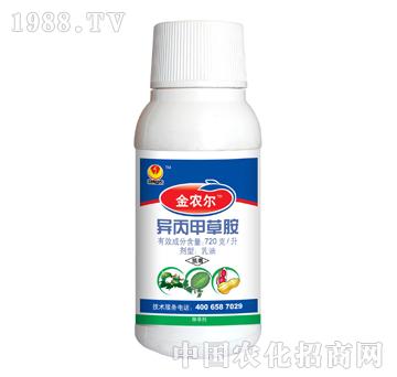 720��/�������ײݰ�-���r��-̩�