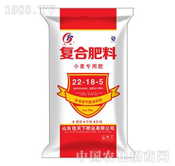 С�����ÏͺϷ���22-18-5-���S-������