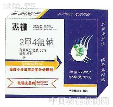 2��4���c-���z-�P���