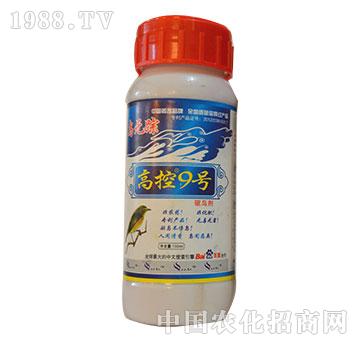 �߿�9̖-�����r(n��ng)��