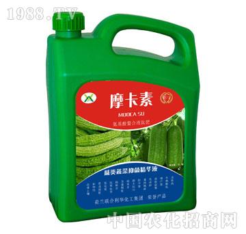 ����߲��־����AҺ-Ħ����-��(qi��ng)о���H