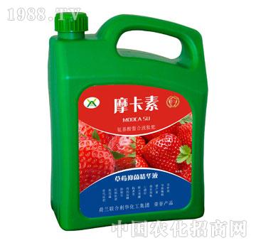 ��ݮ�־����AҺ-Ħ����-��(qi��ng)о���H