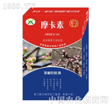 ����������ð���������Һ�ķ�-Ħ����-��(qi��ng)о��(gu��)�H