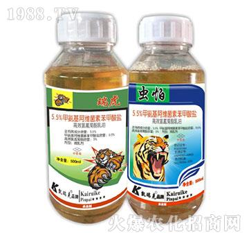 5.5%�װ������S���ر������}-��+�x��-�P���