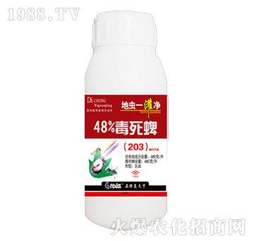 48%������-���xһ����-�읙����