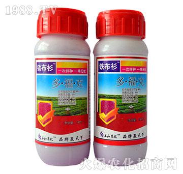 30%�����-�F����-�읙����