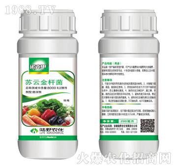 �K�ƽ�U���Ҹ���-�Z�˼�-�Ұ�r��