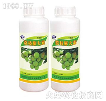 ��֦�����-�r(n��ng)�_����