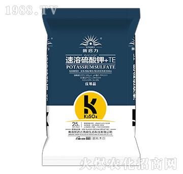 ���������+TE-����