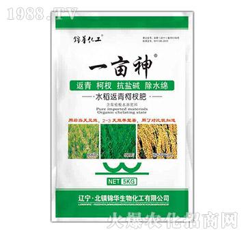 ˮ�������辷�-һ����