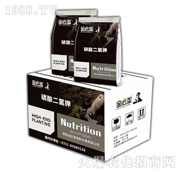 ��������-����