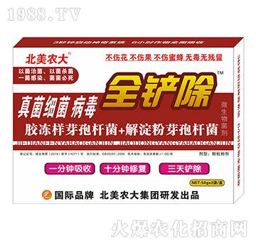 �����������-ȫ�P��-�����r(n��ng)��