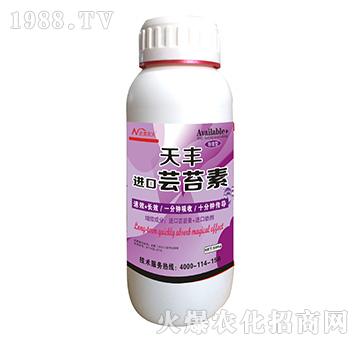 �M���|̦��-�����r��