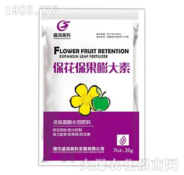 �������������-ʢ���߿�