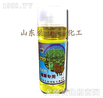 ���݌����~���-��ɽ���S