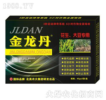 ������-�������󶹌���-�����r��