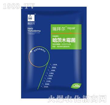 ����ľù����20g��-��ݠ�-������