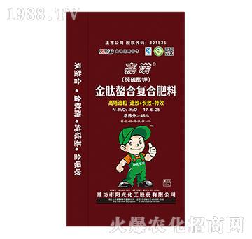 �������Ϗ�(f��)�Ϸ���17-6-25-���Z-ꖹ⻯��