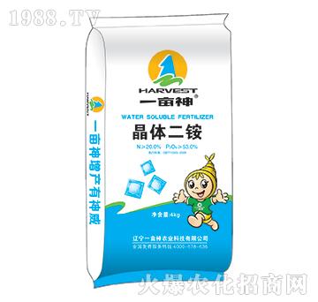 ���w���@-һ����