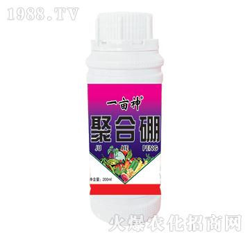 �ۺ���-һ����