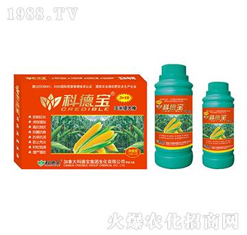 ���׌�(zhu��n)�àI(y��ng)�B(y��ng)���a(ch��n)���؄�-���װ����-�Ƶ�