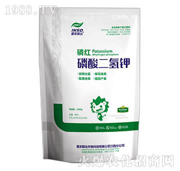 ��������-�׼t-���r(n��ng)˹�_