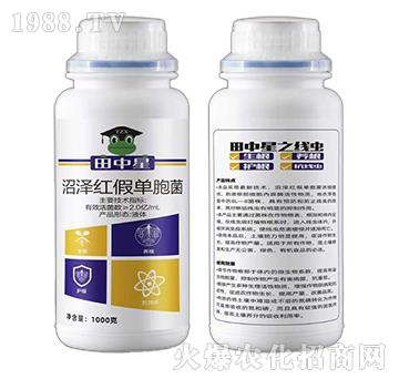 �ӝɼt�نΰ���-������