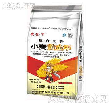 ��(f��)�Ϸ���20-22-5-С���S���-�S���