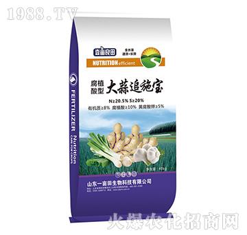 ����׷ʩ��(��ֲ���ͣ�-Ҽ������