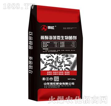 ̼ø����΢�������-�\��-�\��ʘI(y��)