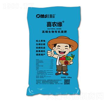 �߶������ЙC(j��)����-ϲ�r(n��ng)��-�W��ɭ