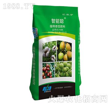 ��ጓ������24-12-12-�����