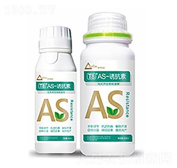 T8��AS-�T����-�����Ƽ�