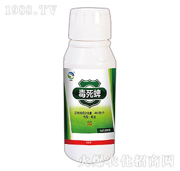 ������-���xһ����-�l(xi��ng)�@�r��