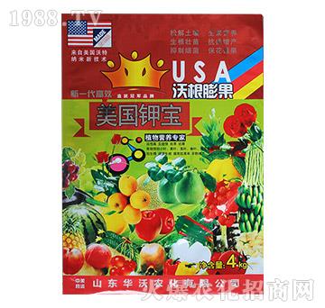 �ָ����-����⛌�-�A���r(n��ng)��