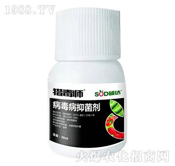 ���������Ƅ�-�C����-�T�_