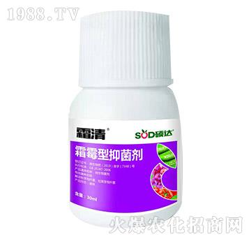 ˪ù���־���-˪��-�T�_(d��)