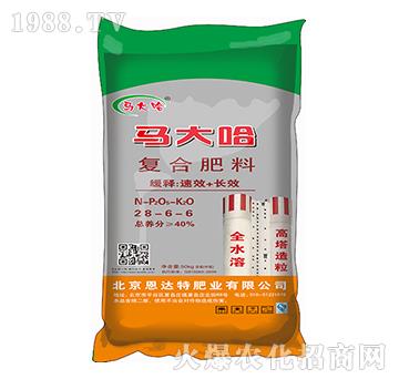 �����ͺϷ�28-6-6-�R���