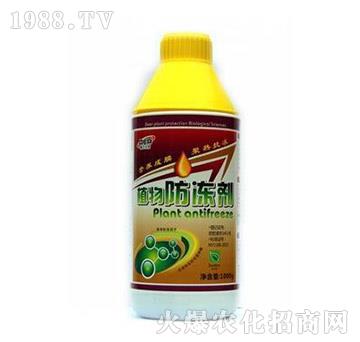 ֲ�������-��?t��ng)����? width=