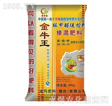 ���ȩ����ጓ������22-10-10-��ţ��-��