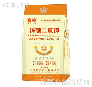 �\������-ِ��-�_�_