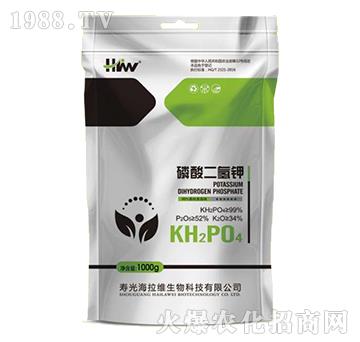 ��������-�����S