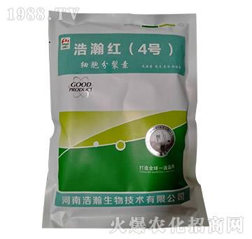 ��(x��)��������-��嫼t��4̖(h��o)��-�������